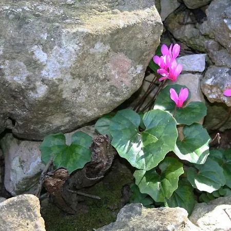Hébergement de vacances Casa Mattea