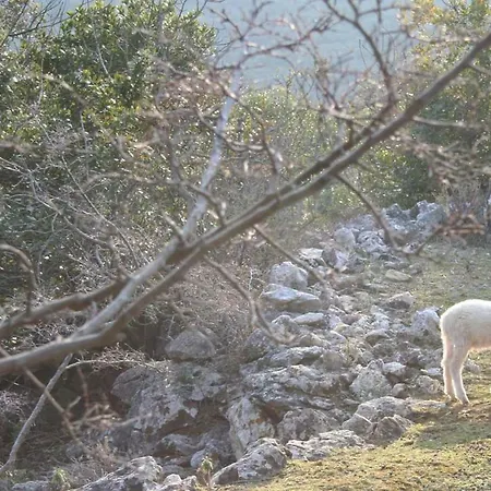 Casa Mattea Hébergement de vacances *