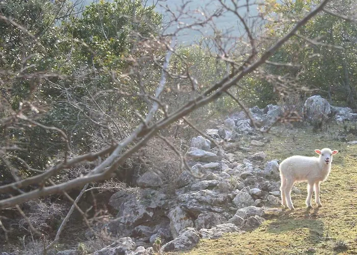 Casa Mattea Case de vacanță *